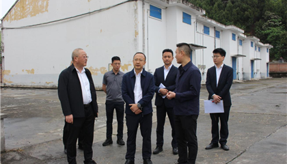 市國資委調研督導興業(yè)集團經(jīng)營管理工作