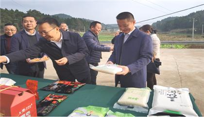 市委常委、政法委書記劉波濤帶隊調(diào)研指導(dǎo)定點幫扶村鄉(xiāng)村振興工作